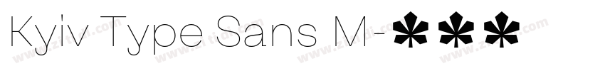 Kyiv Type Sans M字体转换